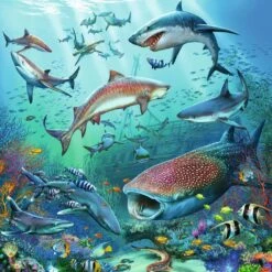 Ocean Life 3x49 Pc Puzzle | Ravensburger(Ocean Life Puzzle) -Curious Bear Toys Store 05149 2