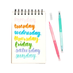 Dual Tone Double Ended Brush Marker - Set Of 12/24 Colors | OOLY(Dual Tone Double Ended Brush Marker Set Of 12 24 Colors Ooly) -Curious Bear Toys Store 130 085 Dual Tone Double Ended Brush Markers E1