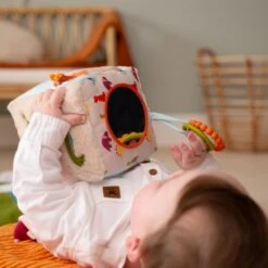 Soft Activity Cube - Dino | Little Big Friends(Soft Activity Cube Dino Little Big Friends) -Curious Bear Toys Store 1319e65421c0c9d3e59e07a6a9bceec630dec29048225bbc9b110b18b49f0a1a