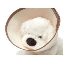 Vet Set | Plan Toys(Vet Set) 22 Vet Set | Plan Toys(Vet Set) -Curious Bear Toys Store 3490 Packshot 04 900x 2b4c8c7a fd0c 4397 86ca 726c236f008e