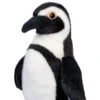 Zuri African Penguin | Douglas(Zuri African Penguin Douglas)