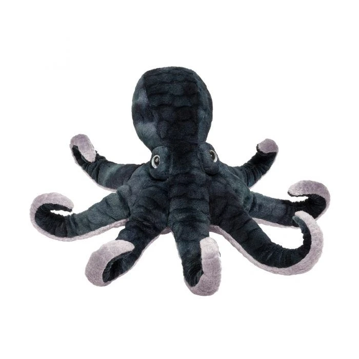 Winky Octopus | Douglas(Winky Octopus Douglas) 8 Winky Octopus | Douglas(Winky Octopus Douglas) - Image 8
