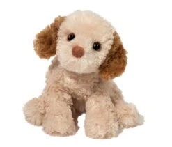 Biscuit Cavapoo | Douglas(Biscuit Cavapoo Douglas)