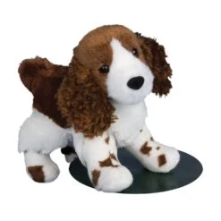 Flair Springer Spaniel | Douglas(Flair Springer Spaniel)
