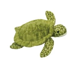 Pebbles Turtle | Douglas(Pebbles Turtle Douglas)