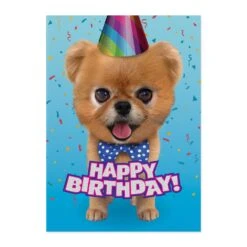 MindWare Teddy Bear Pomeranian Foil Birthday Card(Teddy Bear Pomeranian Foil Card)