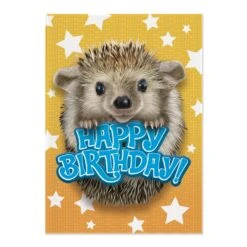 MindWare Foil: Hedgehog Card(Foil Hedgehog Card)