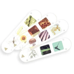 Kids First Big & Fun Microscope | Thames & Kosmos(Kids First Big Fun Microscope Thames Kosmos) 7 Kids First Big & Fun Microscope | Thames & Kosmos(Kids First Big Fun Microscope Thames Kosmos) -Curious Bear Toys Store 634032 Kids First Big Fun Microscope Slides 720x 7f249332 fca3 46bf b007 73bb6f543bcf