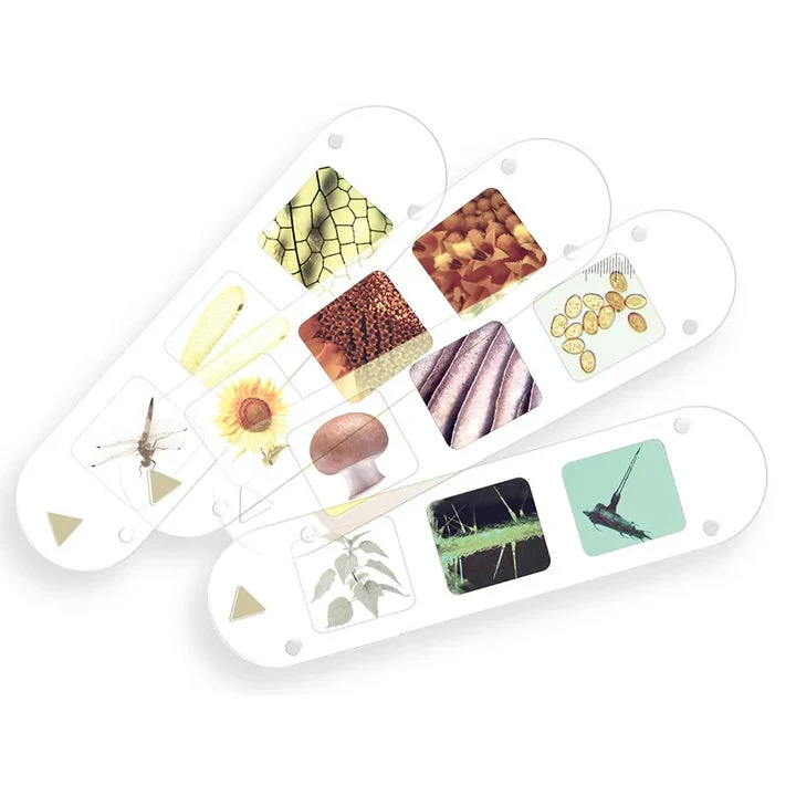 Kids First Big & Fun Microscope | Thames & Kosmos(Kids First Big Fun Microscope Thames Kosmos) 3 Kids First Big & Fun Microscope | Thames & Kosmos(Kids First Big Fun Microscope Thames Kosmos) - Image 3