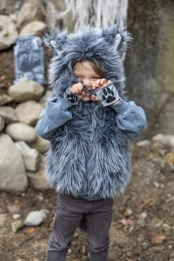 Big Bad Wolf Vest With Gloves | Great Pretenders(Big Bad Wolf Vest With Gloves Great Pretenders) 10 Big Bad Wolf Vest With Gloves | Great Pretenders(Big Bad Wolf Vest With Gloves Great Pretenders) -Curious Bear Toys Store 66303 4 3000x 193627ae a312 40c4 b2a0 dfef390499ad