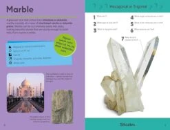 Penguin Random House Quiz Yourself Clever! Rocks And Minerals(Quiz Yourself Clever Rocks And Minerals) -Curious Bear Toys Store 71JGansS83L. SX679