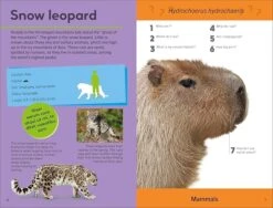 Penguin Random House Quiz Yourself Clever! Animals Of The World(Quiz Yourself Clever Animals Of The World) -Curious Bear Toys Store 81BEvt IslL. SX679