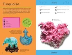 Penguin Random House Quiz Yourself Clever! Rocks And Minerals(Quiz Yourself Clever Rocks And Minerals) -Curious Bear Toys Store 81HeFSXGIJL. SX679