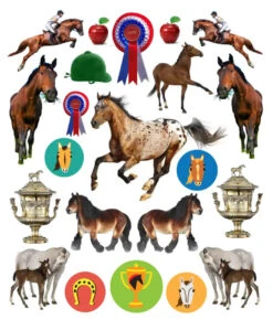 Eyelike Stickers: Horses(Eyelike Stickers Horses) -Curious Bear Toys Store 9780761187240 in02
