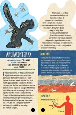 Fandex Kids: Dinosaurs(Fandex Kids Dinosaurs) 10 Fandex Kids: Dinosaurs(Fandex Kids Dinosaurs) -Curious Bear Toys Store 9781523512072 .in02