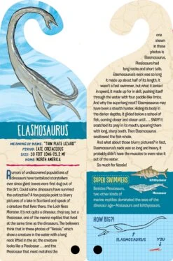 Fandex Kids: Dinosaurs(Fandex Kids Dinosaurs) 13 Fandex Kids: Dinosaurs(Fandex Kids Dinosaurs) -Curious Bear Toys Store 9781523512072 .in05