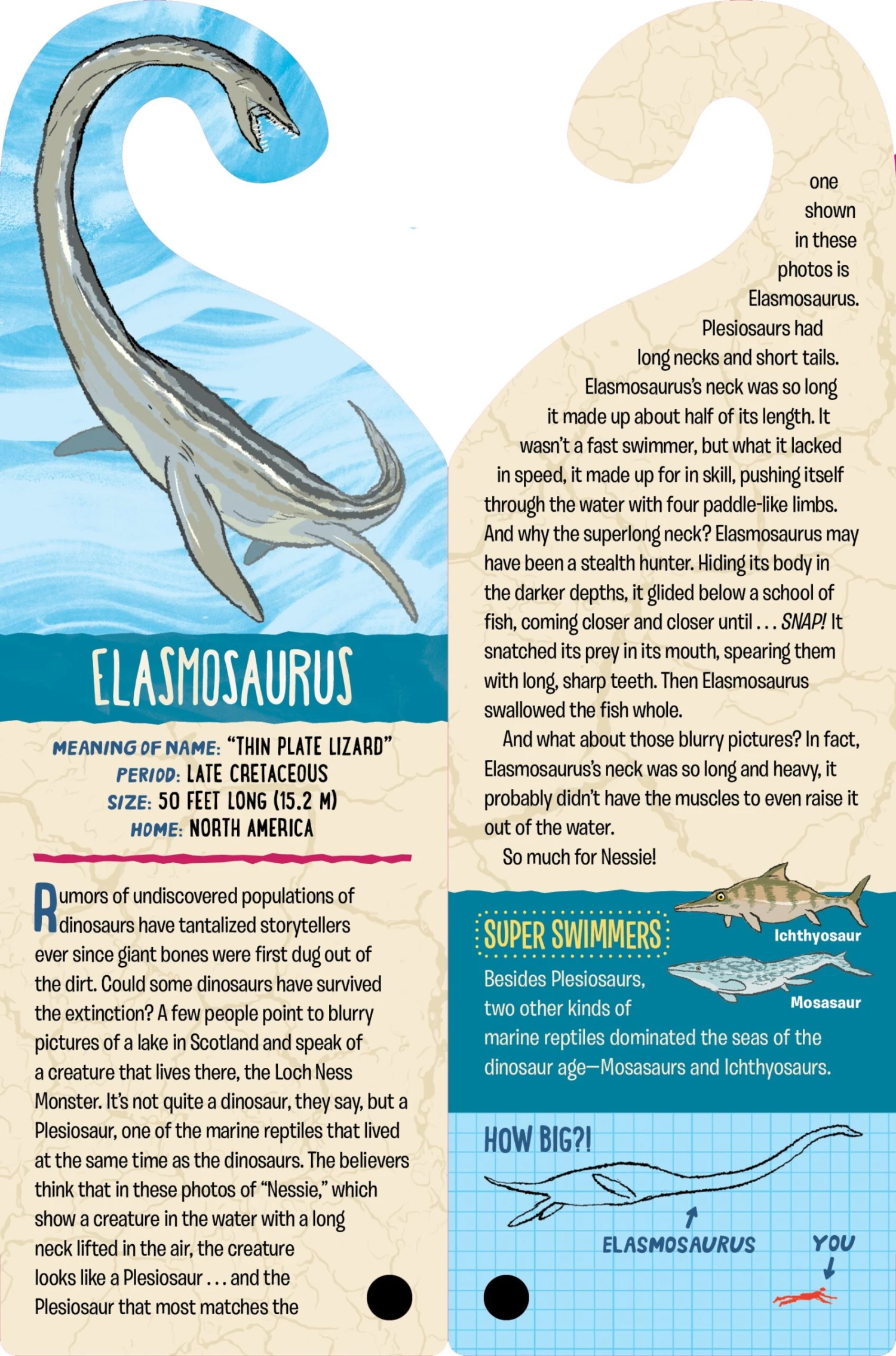 Fandex Kids: Dinosaurs(Fandex Kids Dinosaurs) 6 Fandex Kids: Dinosaurs(Fandex Kids Dinosaurs) - Image 6