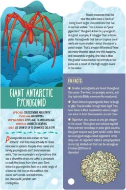 Fandex Kids: Ocean(Fandex Kids Ocean) -Curious Bear Toys Store 9781523512089.in02