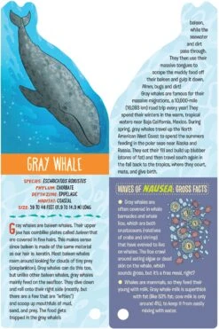 Fandex Kids: Ocean(Fandex Kids Ocean) -Curious Bear Toys Store 9781523512089.in05