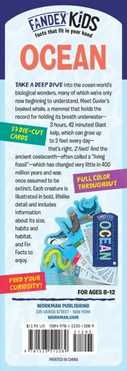 Fandex Kids: Ocean(Fandex Kids Ocean) -Curious Bear Toys Store 9781523512089 back