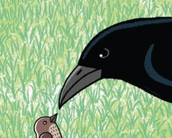 Froodle(Froodle) -Curious Bear Toys Store 9781596439221.IN02