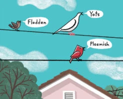 Froodle(Froodle) -Curious Bear Toys Store 9781596439221.IN08