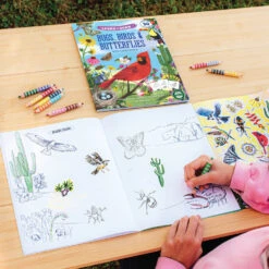 Learn To Draw Bugs, Birds & Butterflies With Stickers | EeBoo(Learn To Draw Bugs Birds Butterflies With Stickers Eeboo) -Curious Bear Toys Store ARTBK9 689196515385 4