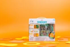 DIY Sensory Play Jar Set: Zoo Theme | Glo Pals(Diy Sensory Play Jar Set Zoo Theme Glo Pals) -Curious Bear Toys Store GP ZooJarBundle AC 01