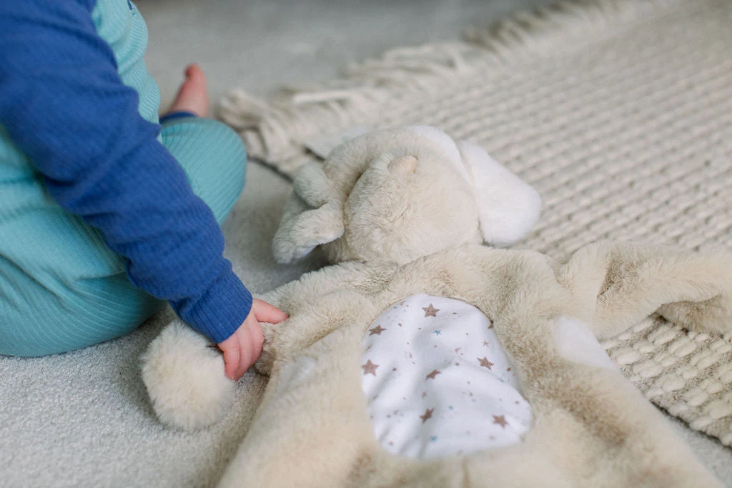 Auggie Tan Puppy Sshlumpie | Douglas(Auggie Tan Puppy Sshlumpie) 3 Auggie Tan Puppy Sshlumpie | Douglas(Auggie Tan Puppy Sshlumpie) - Image 3