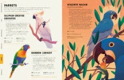 Encyclopedia Of Animals(Encyclopedia Of Animals) 7 Encyclopedia Of Animals(Encyclopedia Of Animals) -Curious Bear Toys Store O 2