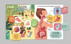 My First Lift-The-Flap: Human Body(My First Lift The Flap Human Body) -Curious Bear Toys Store O 55