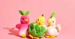 Foodie Chick Assortment | Douglas(Foodie Chick Assortment Douglas)