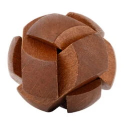 Lost Treasure Collection - 5-Pack Of Brainteasers | Project Genius(Lost Treasure Collection 5 Pack Of Brainteasers Project Genius) -Curious Bear Toys Store TG452 Lost Treasure OOBU Pok