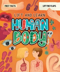 My First Lift-The-Flap: Human Body(My First Lift The Flap Human Body)