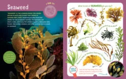 Backpack Explorer: Beach Walk(Backpack Explorer Beach Walk) -Curious Bear Toys Store beach walk3