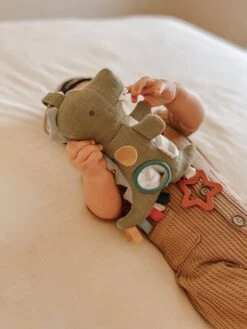 Bitzy Traveler™ Dinosaur(New Option Bitzy Traveler Dinosaur) -Curious Bear Toys Store d7c15af37c331c421526fa7981a1d7029fb6ce3e3dd19dcf04776e04c42cd4c7 b45c727b 94db 4cba b84e 7cbcbdb2a9ca