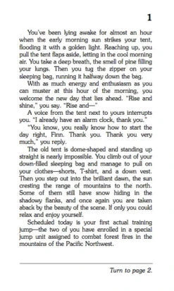 Smoke Jumpers - CYOA(Smoke Jumpers Childrens Book) -Curious Bear Toys Store f8c7319b44a140c32cd6b0b123fbc7e7a7873f3010ab0d1a88b329a007642225