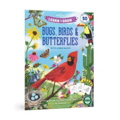 Learn To Draw Bugs, Birds & Butterflies With Stickers | EeBoo(Learn To Draw Bugs Birds Butterflies With Stickers Eeboo)
