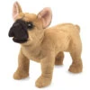 French Bulldog Hand Puppet | Folkmanis(French Bulldog Hand Puppet Folkmanis)