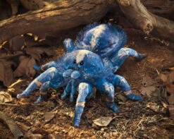 Tarantula, Blue | Folkmanis(Tarantula Blue Folkmanis) -Curious Bear Toys Store prd4 mn 000653