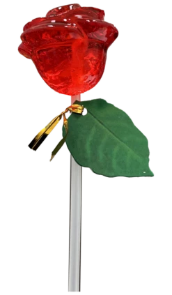 Assorted Rose Pops(Assorted Rose Pops) -Curious Bear Toys Store s491471426985393549 p177 i6 w1092