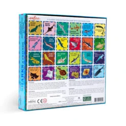 Eeboo Sharks & Friends Shiny Memory Matching Game(Sharks Friends Shiny Memory Matching Game) -Curious Bear Toys Store sharks and friends3