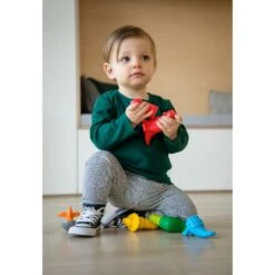 SmartMax My First Dinosaurs(Smartmax My First Dinosaurs) 24 SmartMax My First Dinosaurs(Smartmax My First Dinosaurs) -Curious Bear Toys Store smx 223 my first dinosaurs kid 5 1